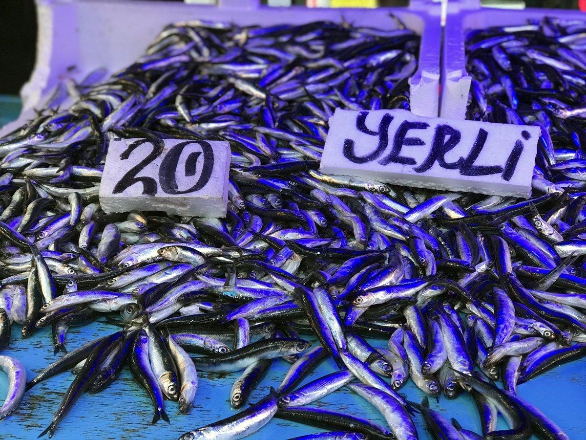 Hamsi, Doğu Karadeniz'de tezgahları süslüyor