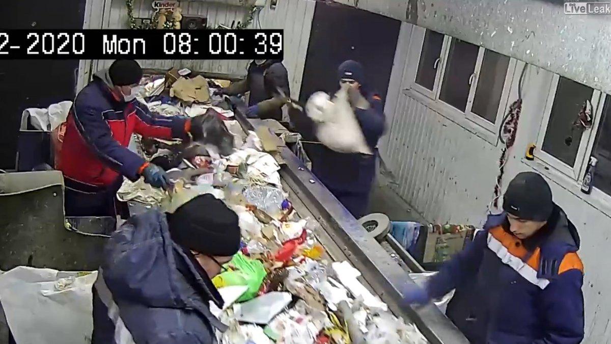 Rusya'da temizlik işçisinin dikkati kediyi ölümden kurtardı