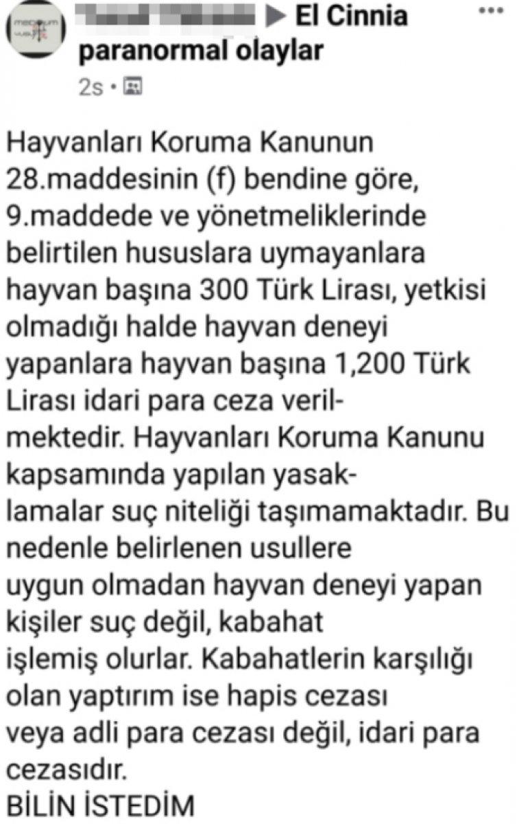Adana'da tavuğun boğazını kesip, ateşe attı
