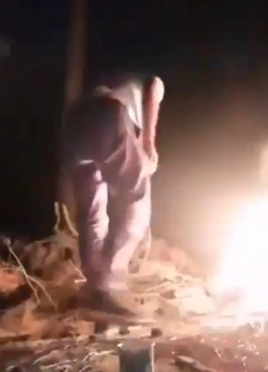 Adana'da tavuğun boğazını kesip, ateşe attı