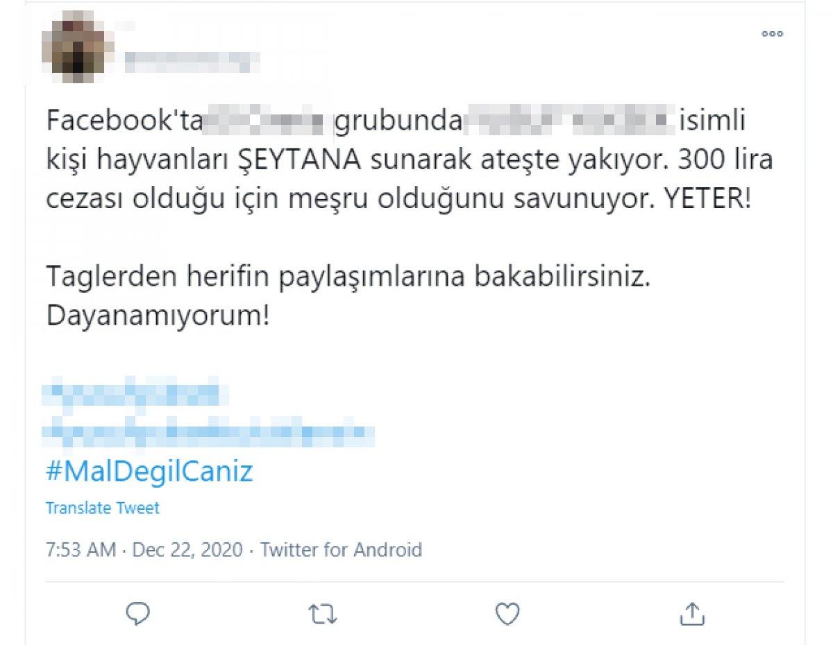 Adana'da tavuğun boğazını kesip, ateşe attı