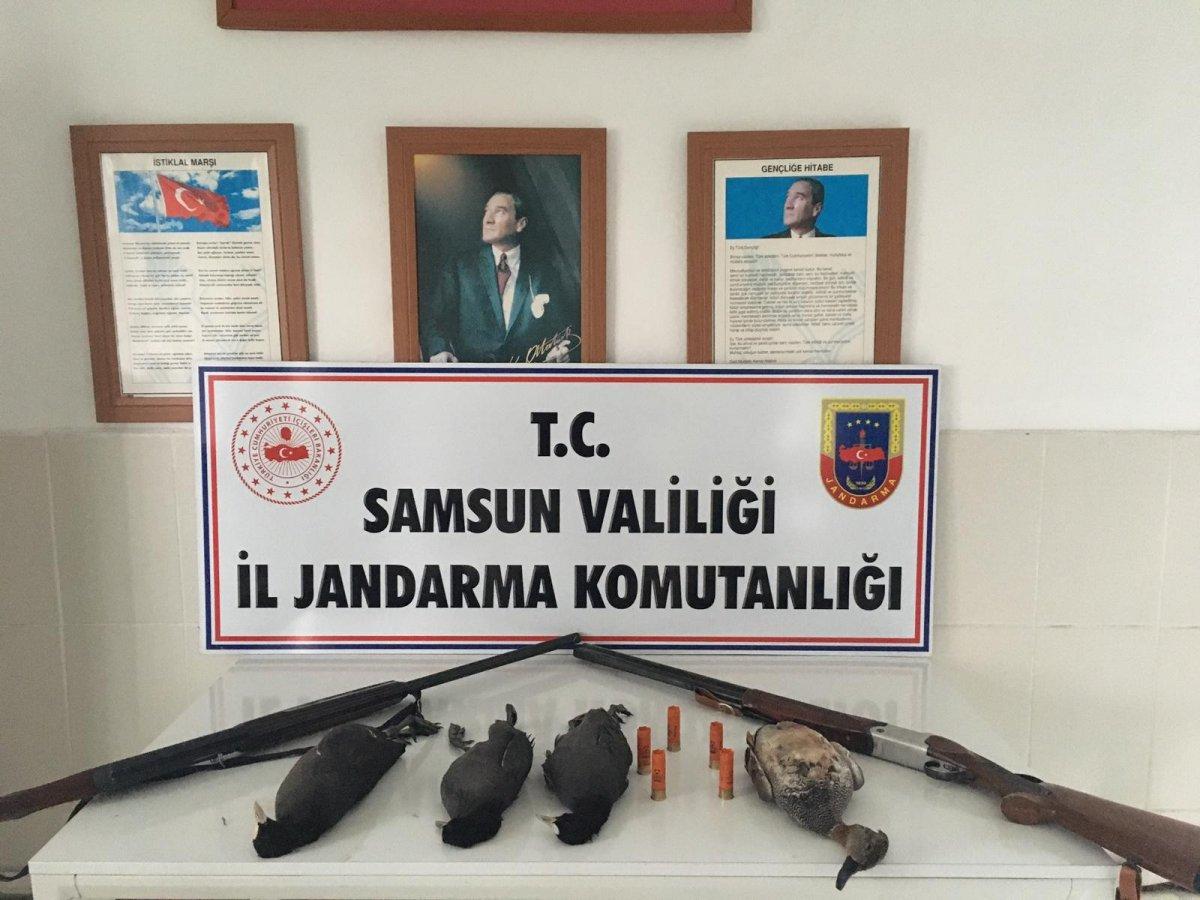 Samsun'da kaçak avcılara ceza kesildi