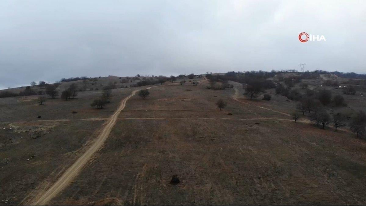 Bilecik altın madeni