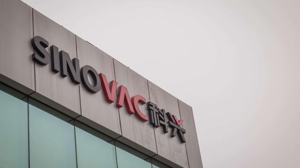 Çin aşısı Türkiye'ye geldi mi? Sinovac aşısı güvenilir mi? Sinovac aşısı başarı oranı ve özellikleri..