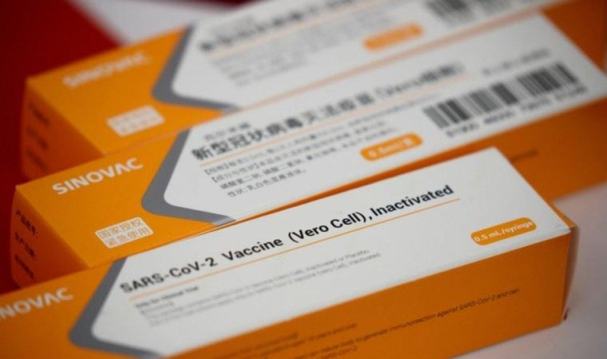 Çin aşısı Türkiye'ye geldi mi? Sinovac aşısı güvenilir mi? Sinovac aşısı başarı oranı ve özellikleri..