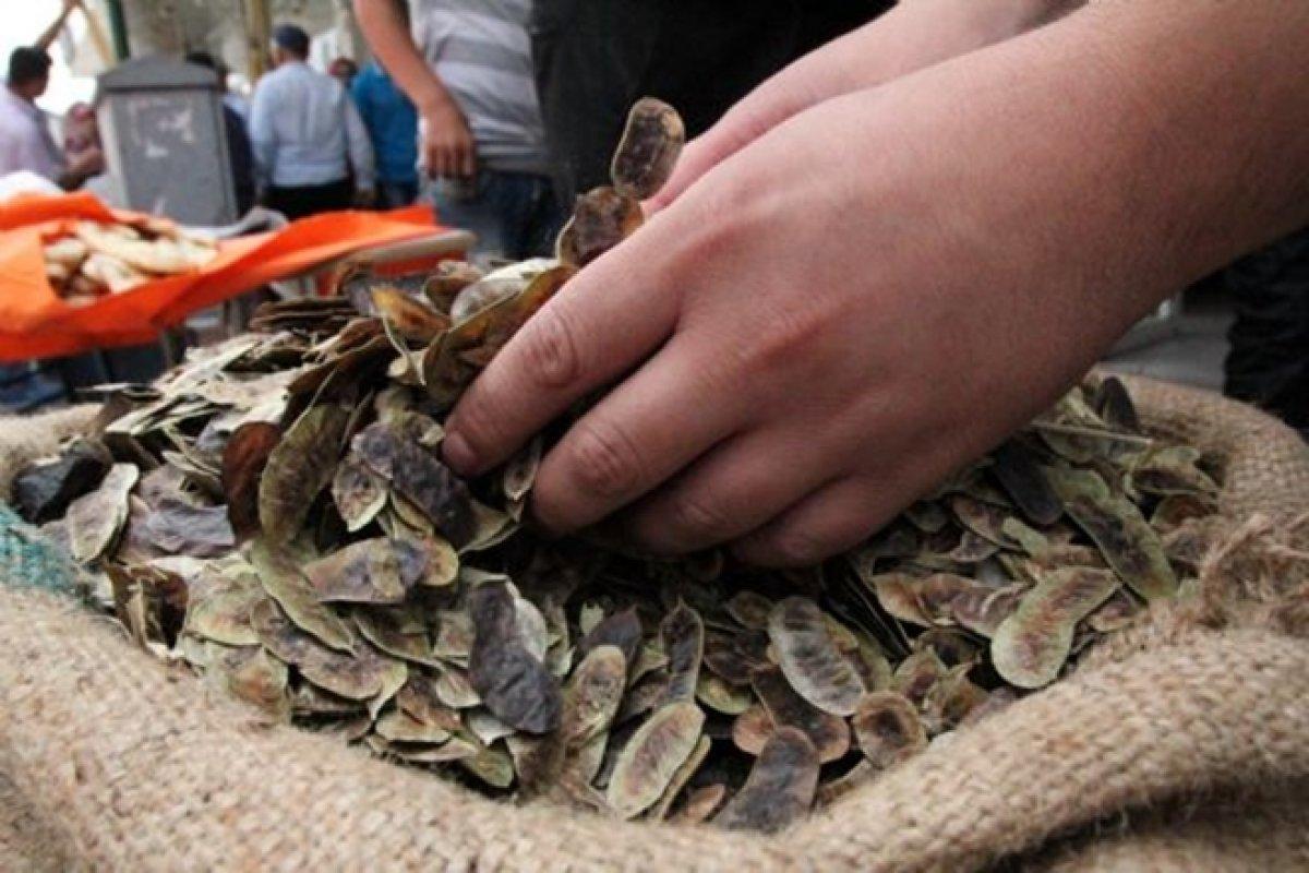 Açlık otu nedir, faydaları nelerdir? Açlık otu nasıl tüketilir?