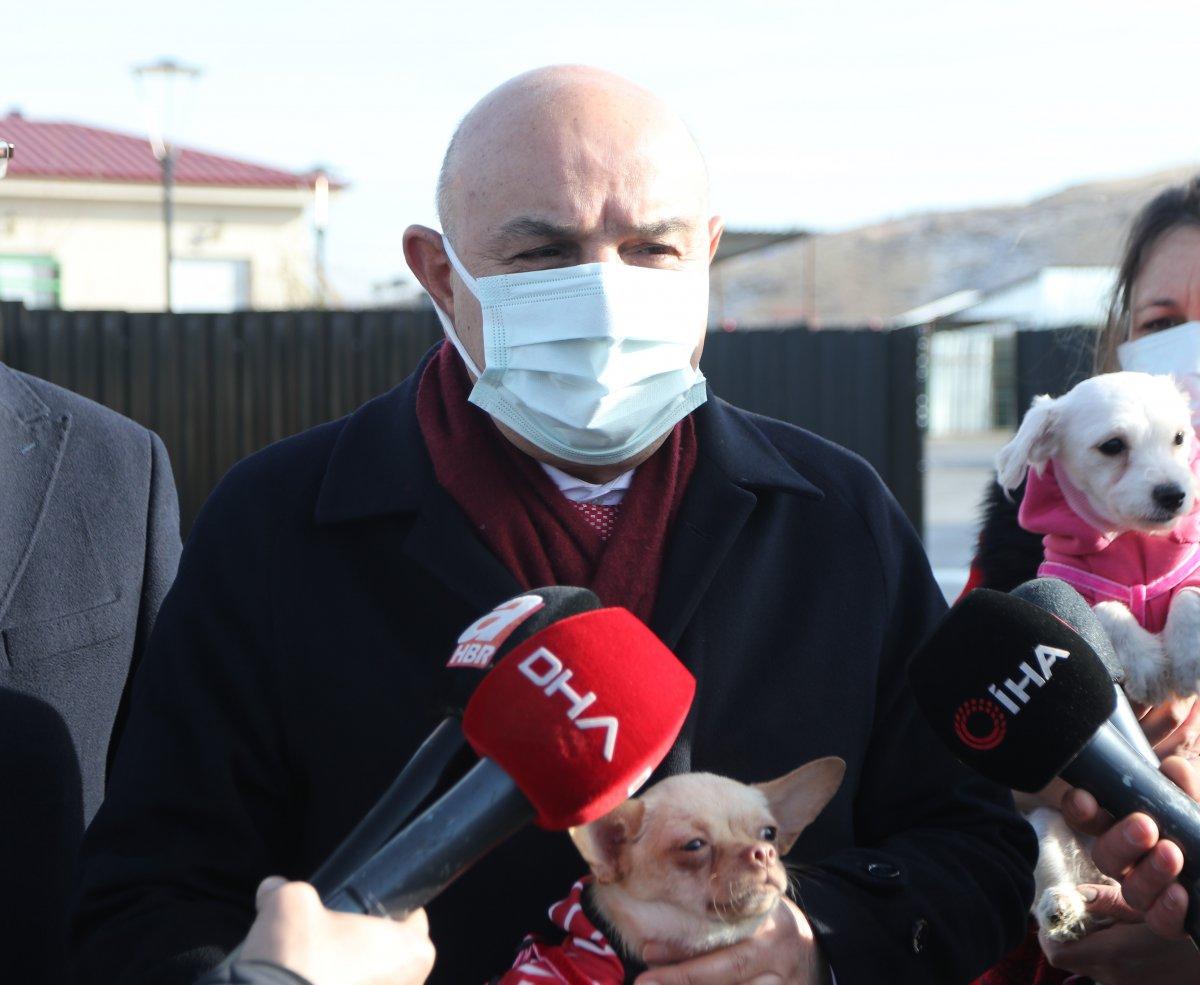 Ankara’da ses telleri kesilen köpeklerin sahibine rekor para cezası