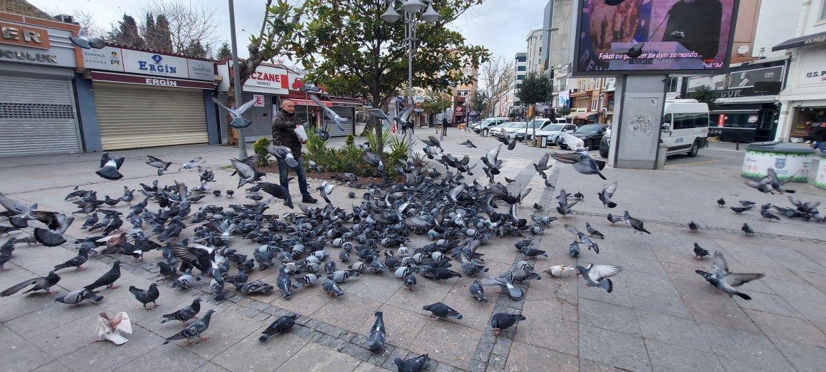 İstanbul'da aç kalan güvercinleri polis besledi