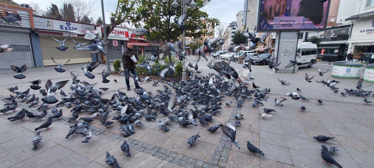 İstanbul'da aç kalan güvercinleri polis besledi