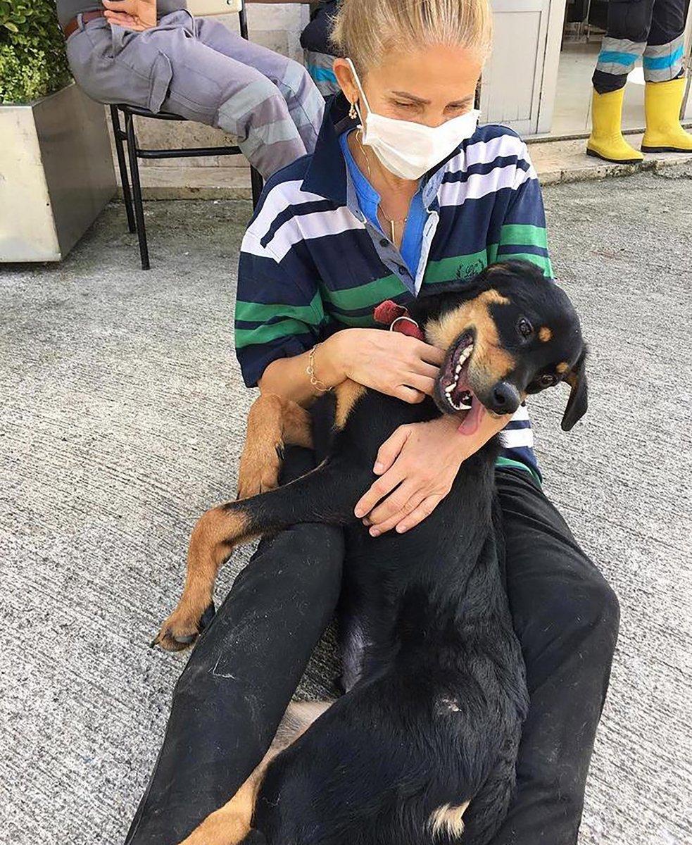 Trabzon'da köpeğe şiddeti sosyal medyadan ifşa etti, hapsi istendi