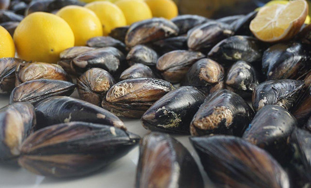 Vedat Milor: Midye yemek, pil yemek gibidir