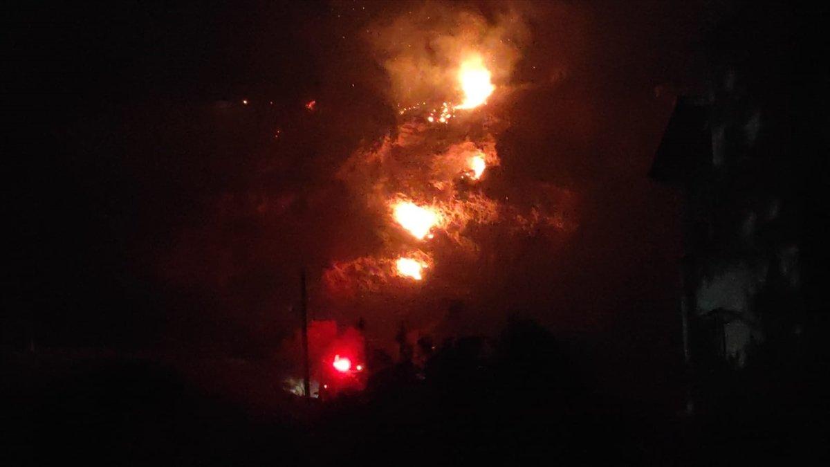 Hatay'da 4 noktada yangın