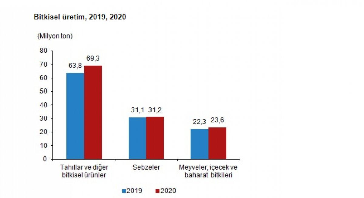 Bitkisel üretim 2020