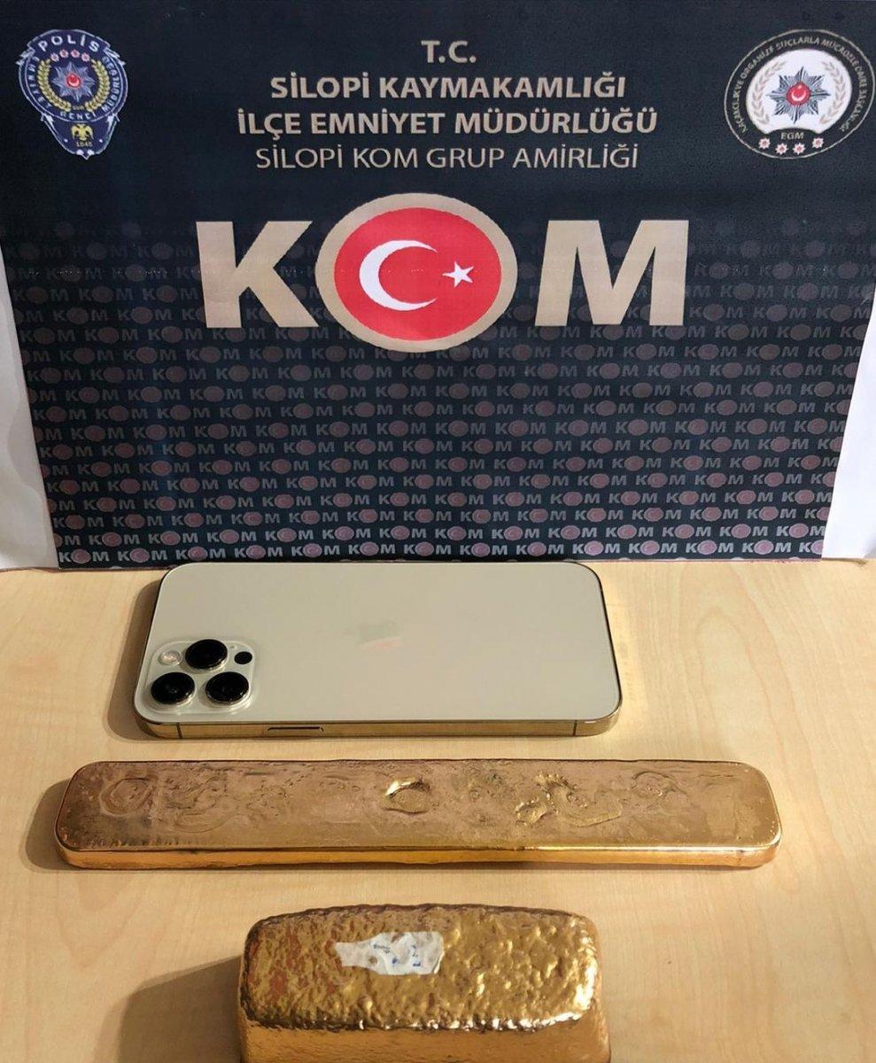 Şırnak'ta 2 kilo altınla birlikte tarihi eser ele geçirildi