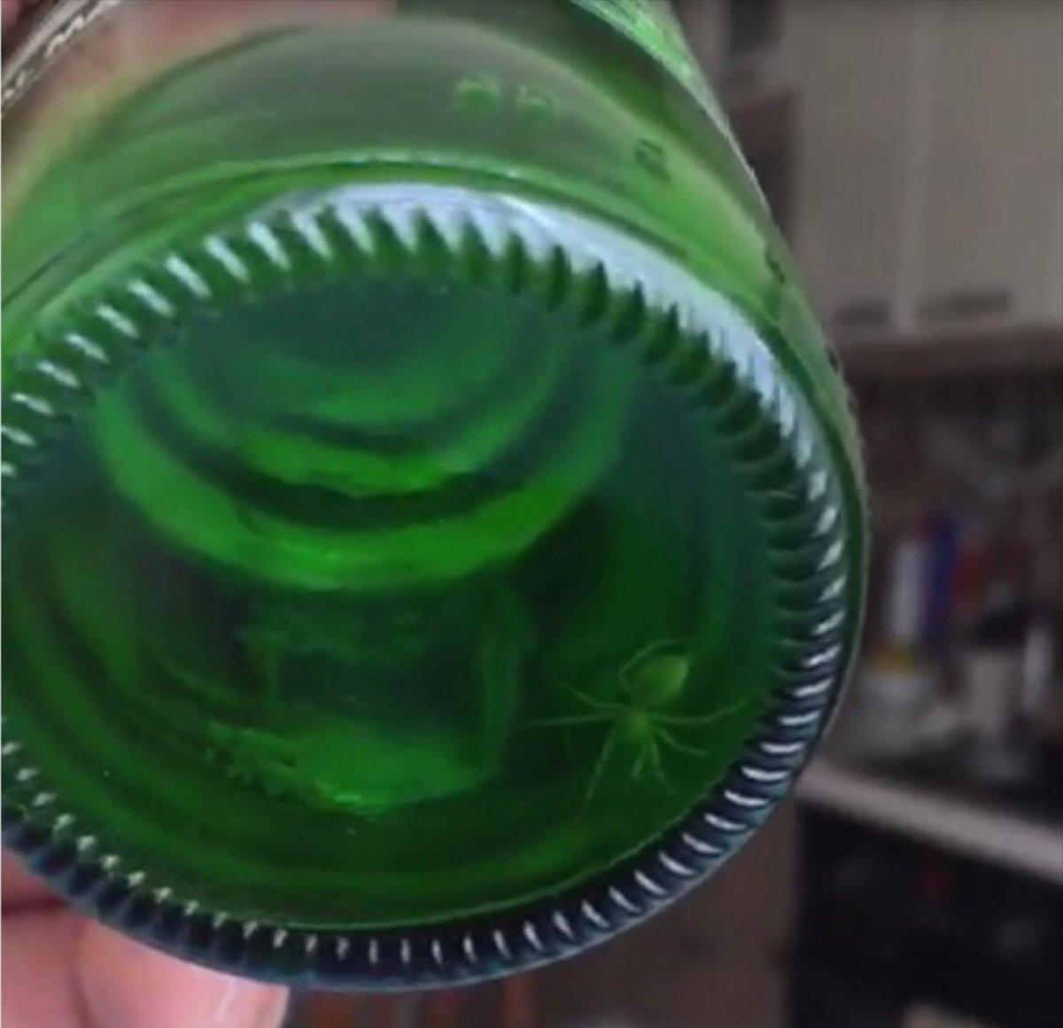 İstanbul'da vatandaş, maden suyu şişesinde örümceğe rastladı