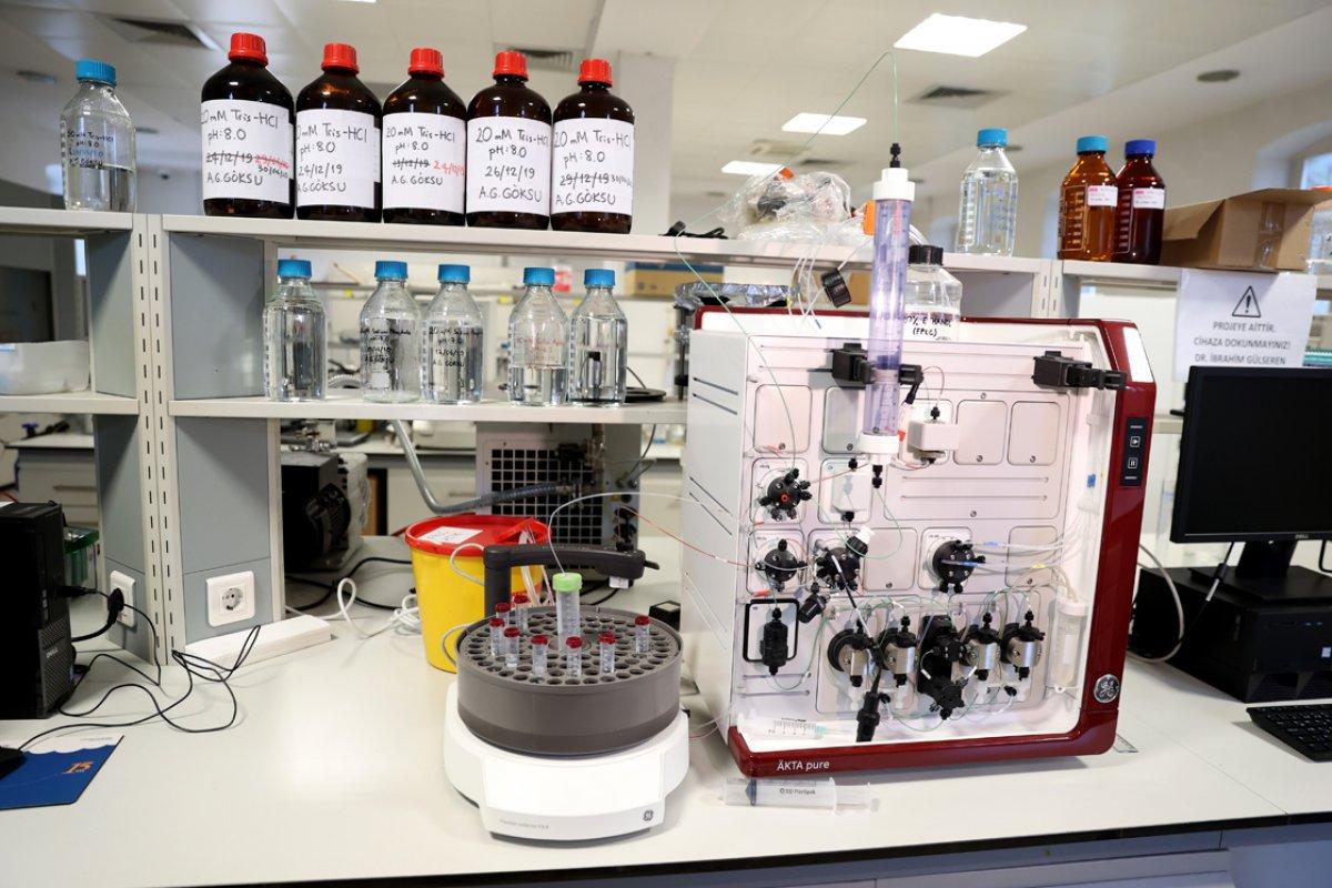 Türk araştırmacı, keçi sütünün koronavirüse karşı etkisi üzerinde çalışıyor