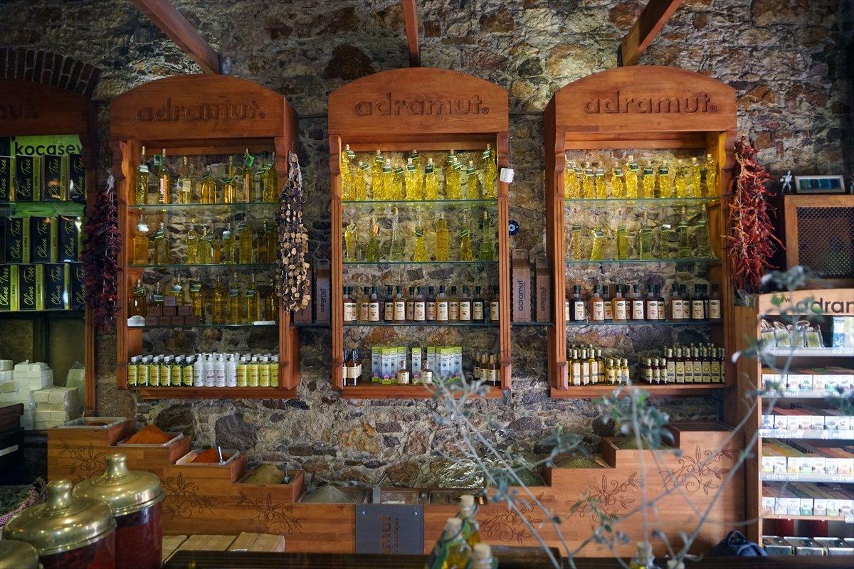 Zeytin hasadı başladı