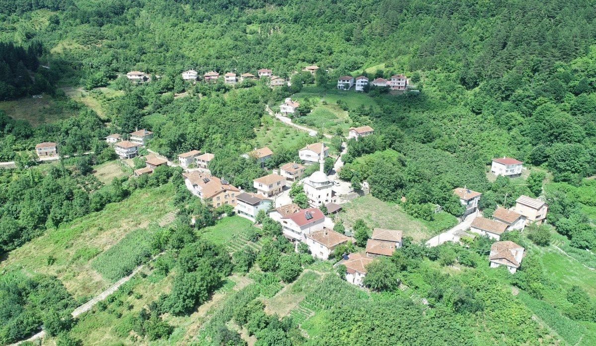 Kastamonu'da internet kabloları çalındı, öğrenciler derslerine giremedi