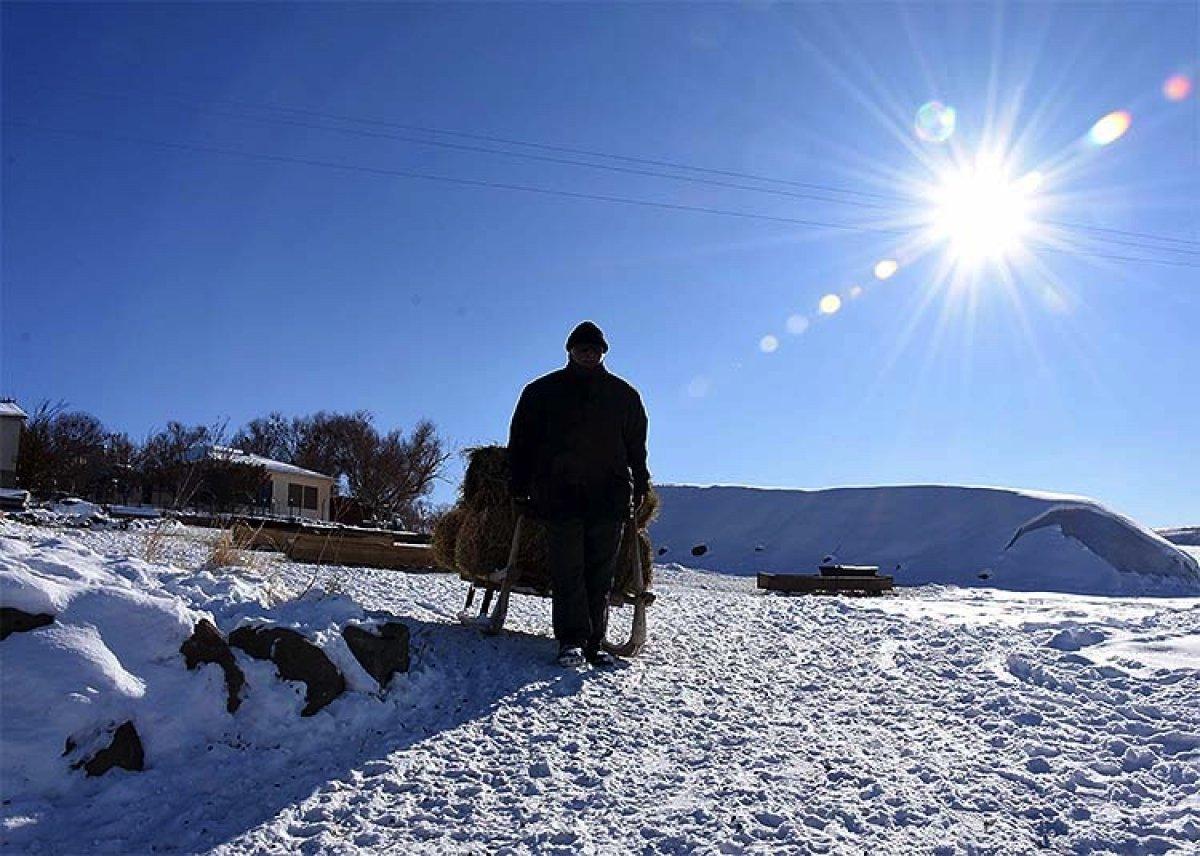 Muş'ta besiciler, zorlu kış şartlarında hayvanlarını yaşatıyor