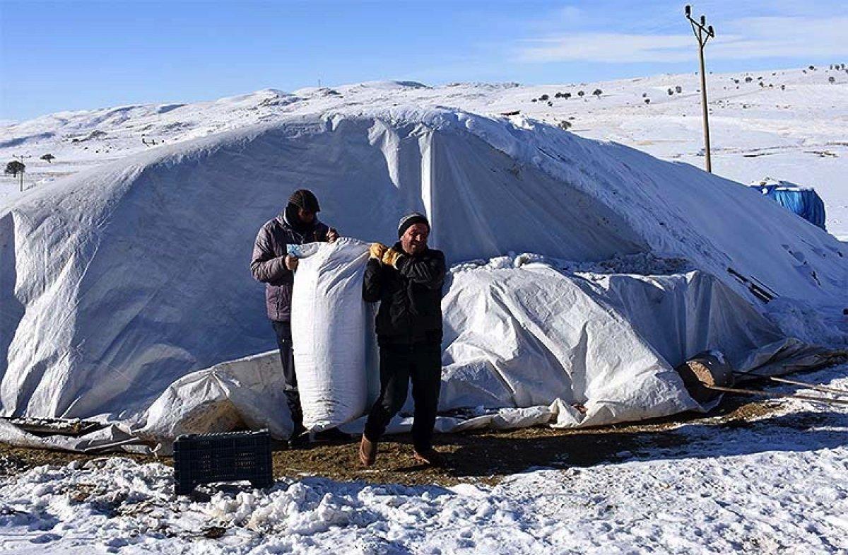 Muş'ta besiciler, zorlu kış şartlarında hayvanlarını yaşatıyor