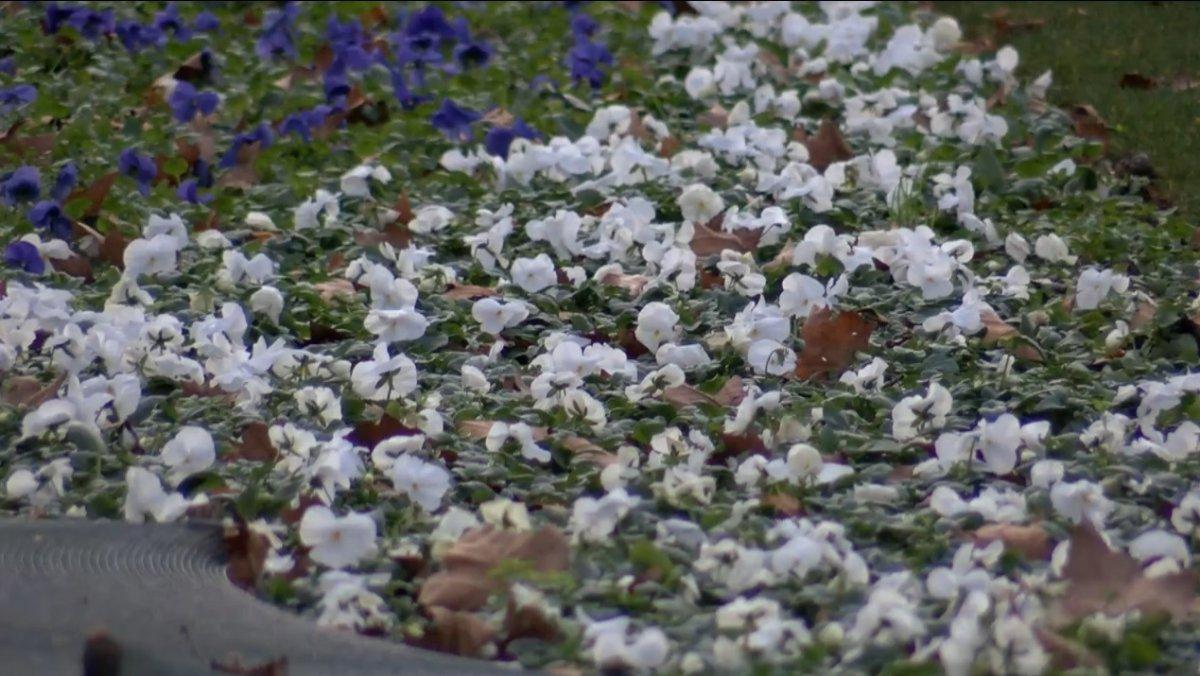 İstanbul'da sıcaklık mevsim normallerinin üzerinde seyrediyor