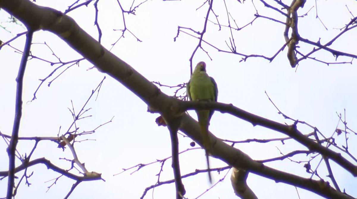 İstanbul'da sıcaklık mevsim normallerinin üzerinde seyrediyor