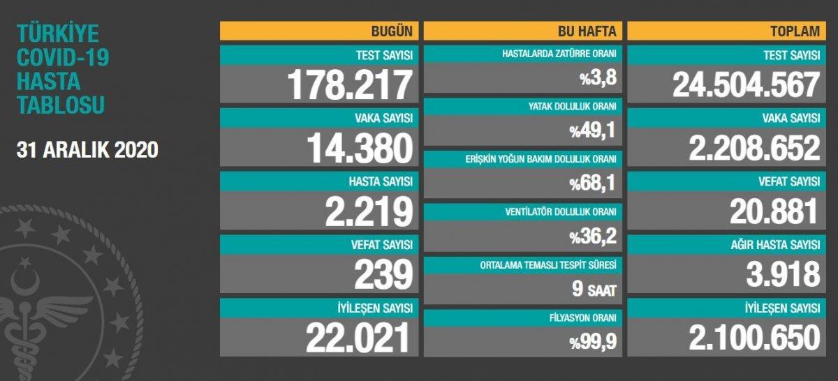 31 Aralık Türkiye'de koronavirüs salgınında son durum