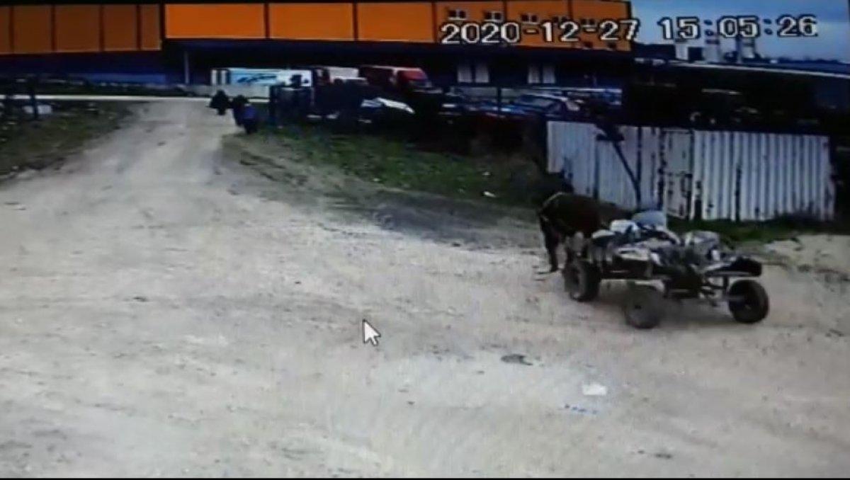 Tekirdağ'da at arabasıyla hırsızlık kamerada