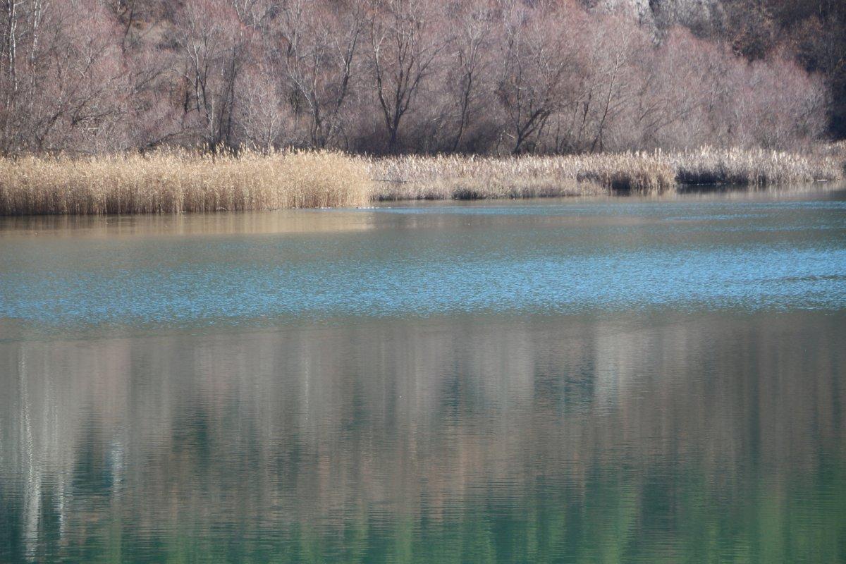 Alabalıklar koruma altında