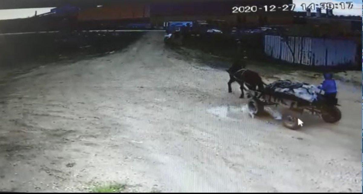 Tekirdağ'da at arabasıyla hırsızlık kamerada