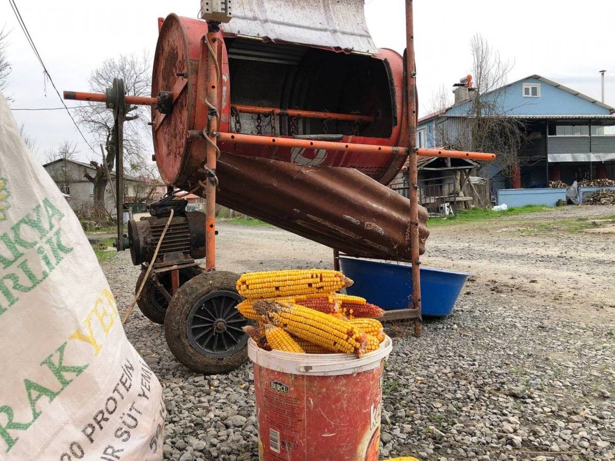 Mısır taneleme makinası üretti