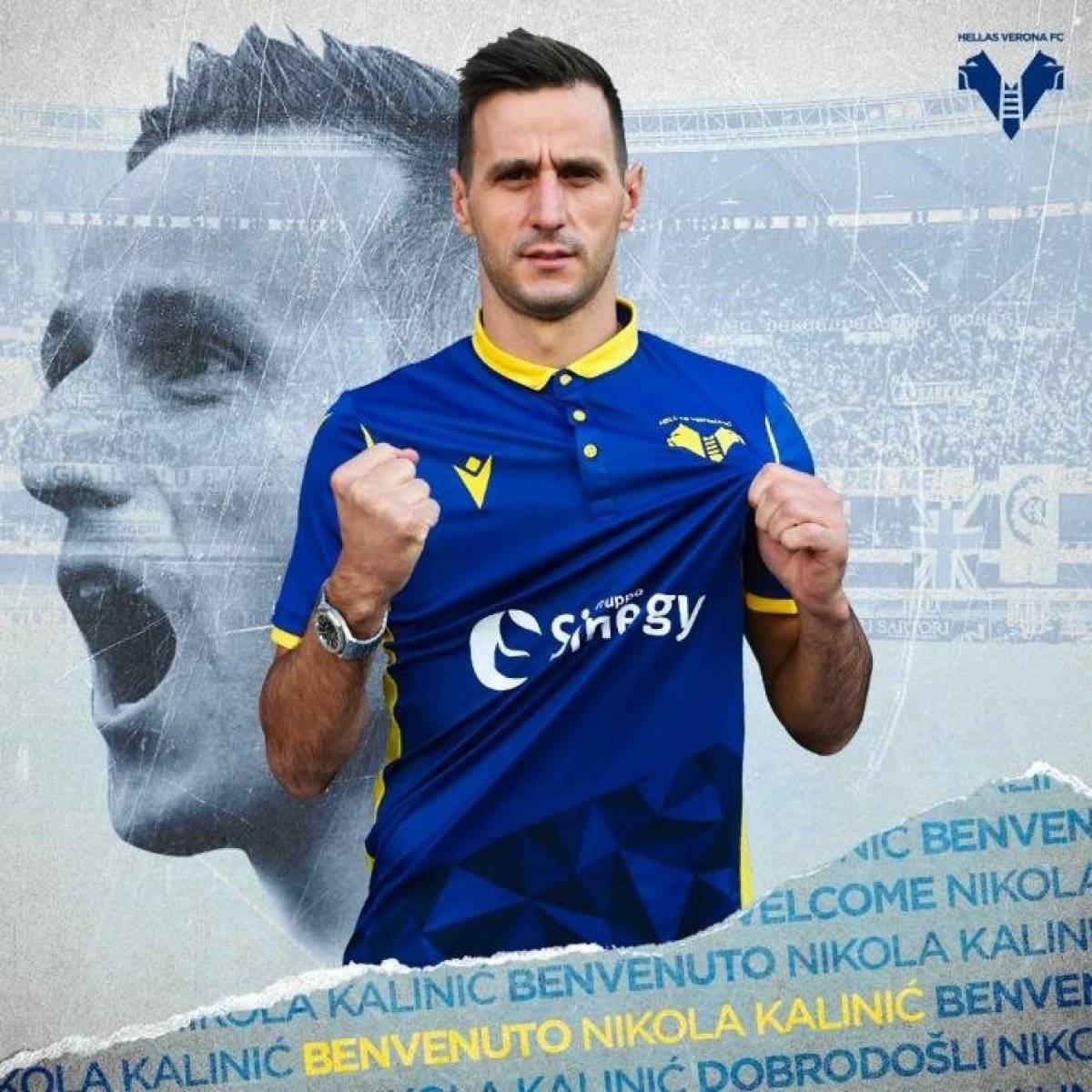 Verona, Beşiktaş'tan Adem Ljajic'i istedi