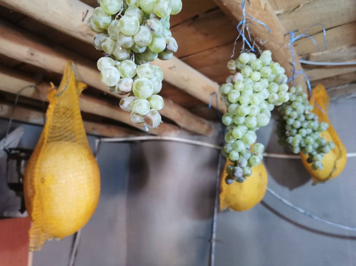 Tunceli'de kış kavunu keyfi