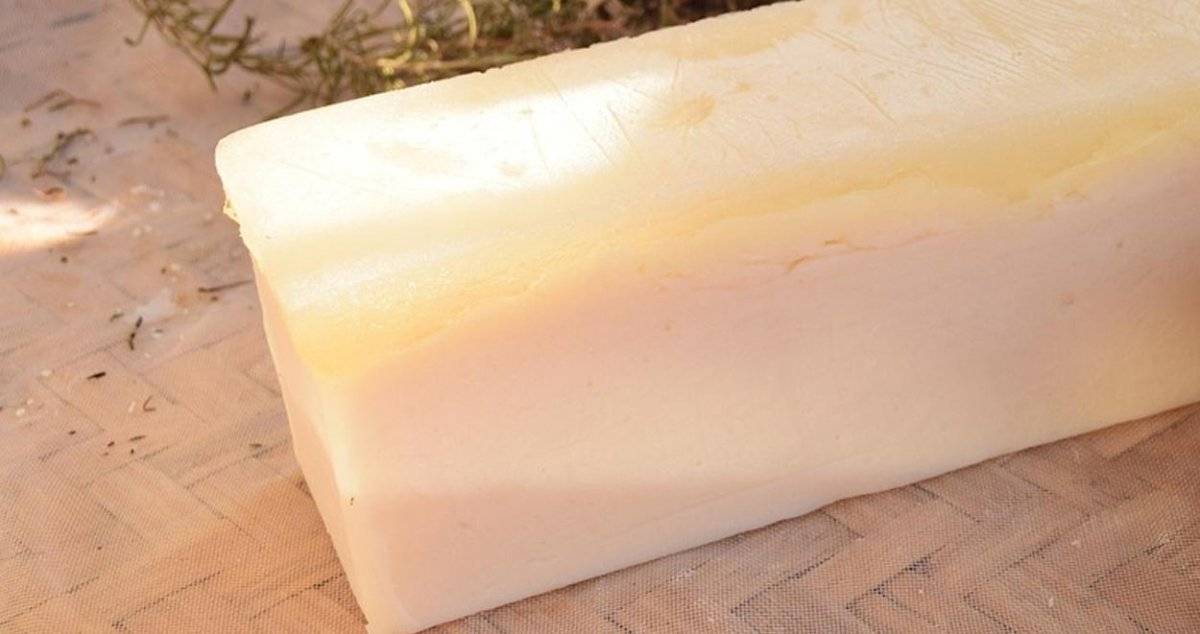 Eşek sütü nedir, içilir mi? Eşek sütü faydaları nelerdir? Eşek sütü sabunu neye iyi gelir?