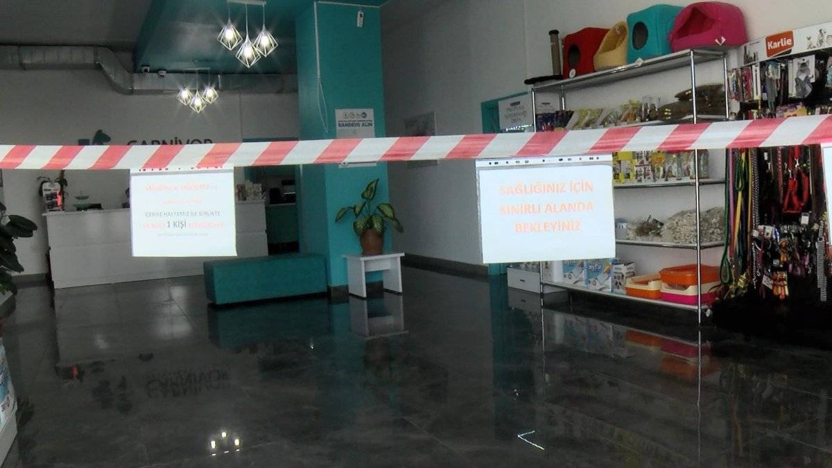 Küçükçekmece'de veteriner hekime saldırı