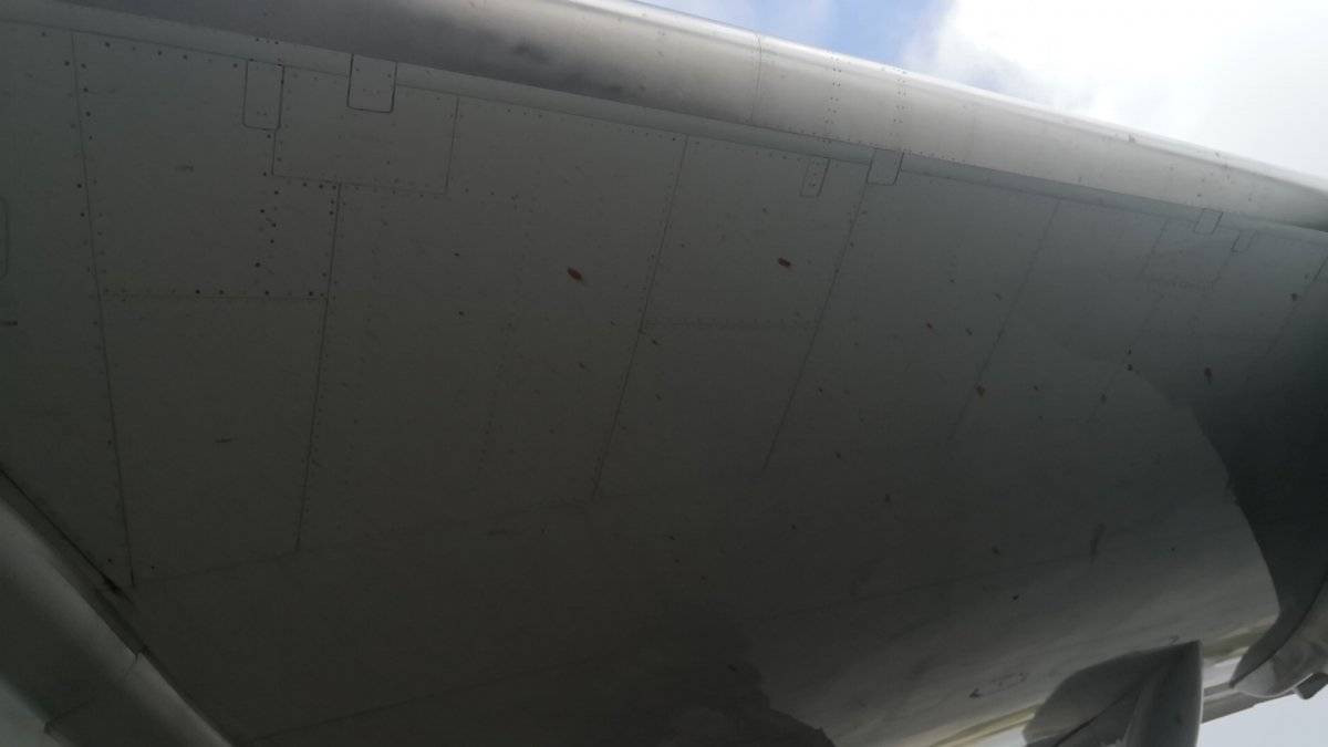 Kuş sürüsüne giren THY kargo uçağı acil iniş yaptı