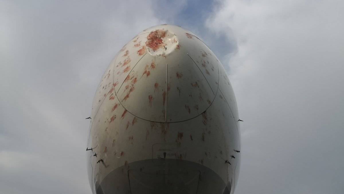 Kuş sürüsüne giren THY kargo uçağı acil iniş yaptı