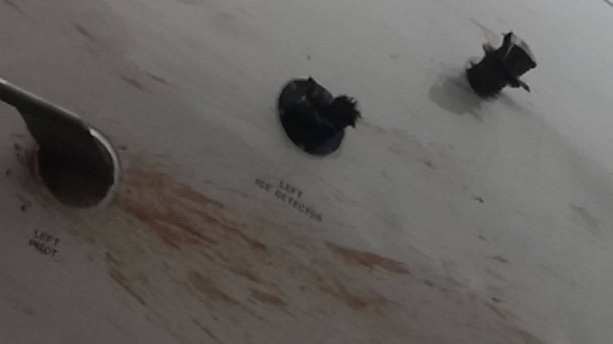 Kuş sürüsüne giren THY kargo uçağı acil iniş yaptı