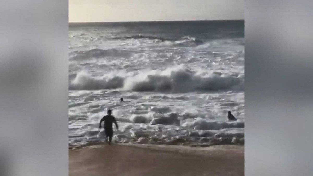 Havai’de sörfçü Mikey Wright boğulan bir kişiyi boğulmaktan kurtardı