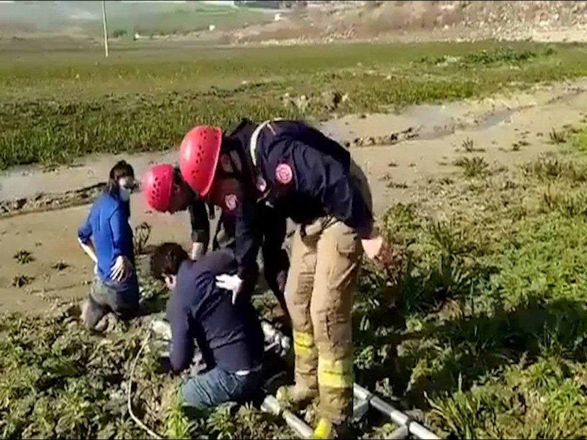 Sazlıbosna Barajı'na giden haberciler balçığa saplandı