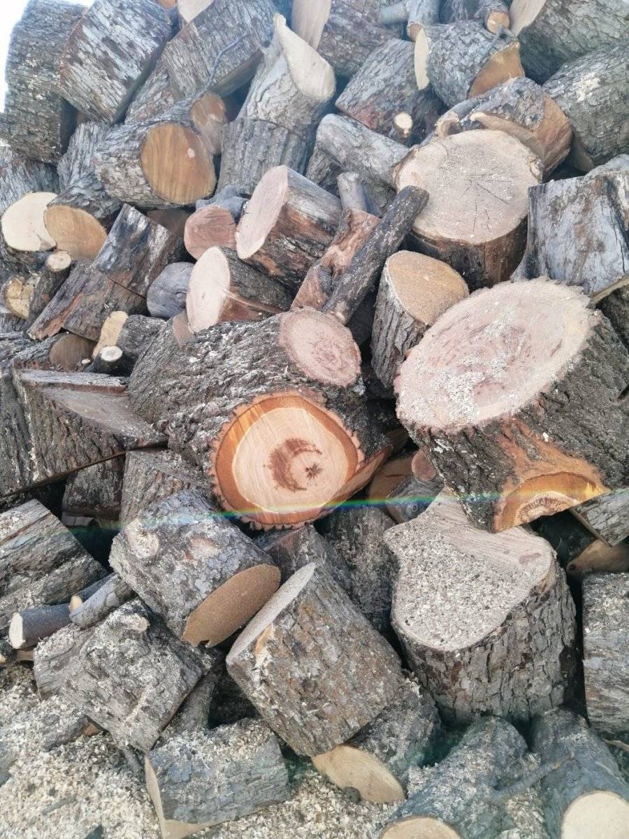 Yozgat'ta kesilen ağacın gövdesinden ay yıldız figürü çıktı