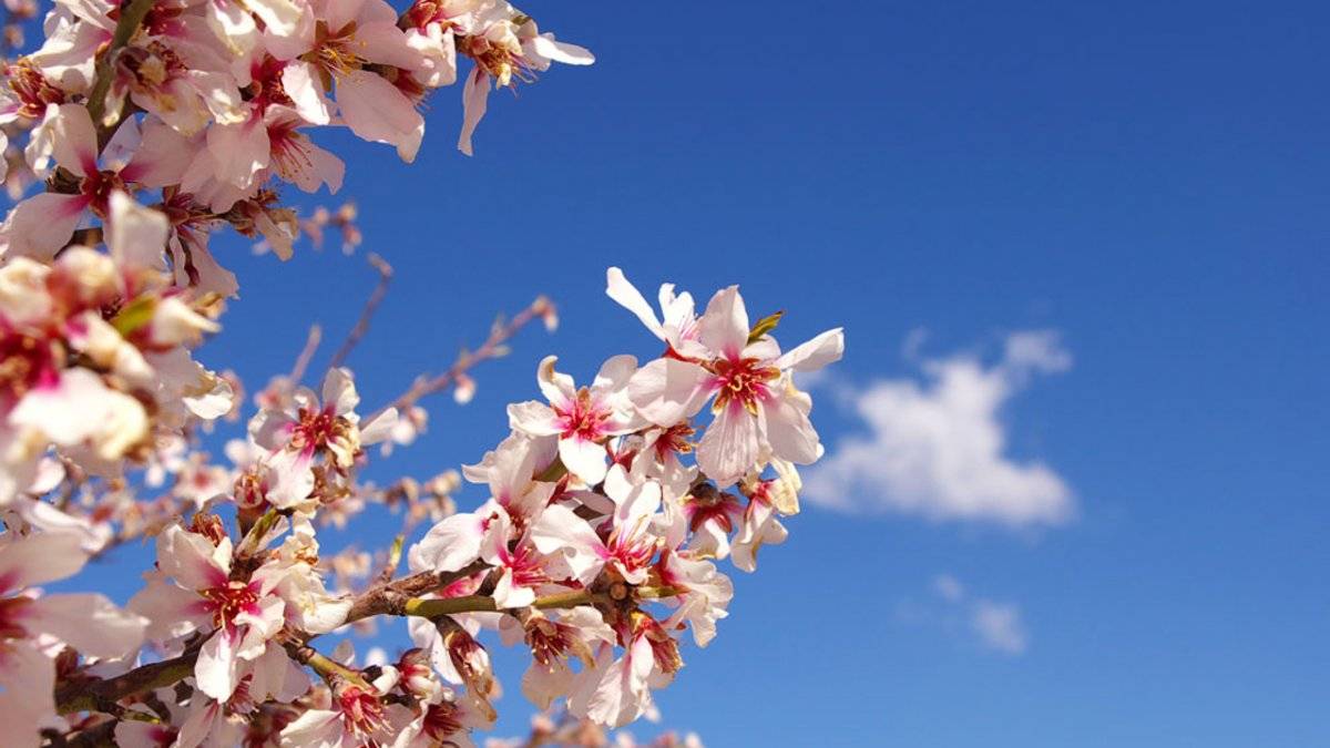 Cemre düşmesi nedir? İlk Cemre ne zaman düşecek 2021?