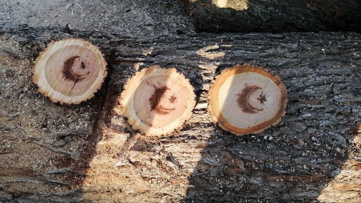 Yozgat'ta kesilen ağacın gövdesinden ay yıldız figürü çıktı