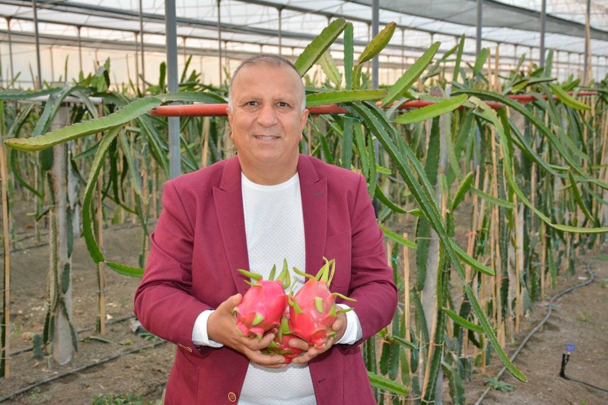 Manavgat tropikal meyvede iddialı