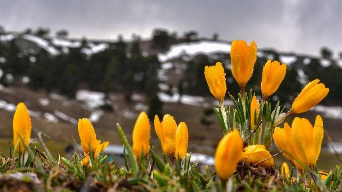 Cemre düşmesi nedir? İlk Cemre ne zaman düşecek 2021?