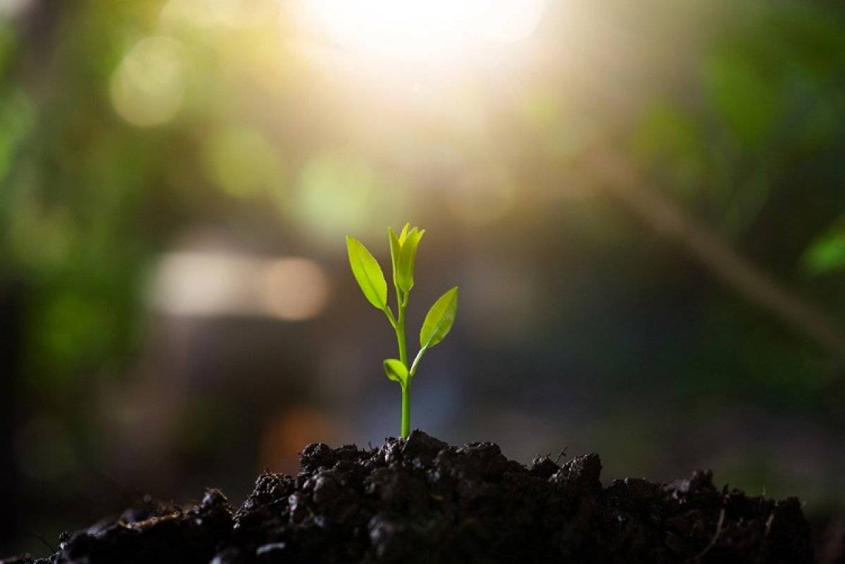 Cemre düşmesi nedir? İlk Cemre ne zaman düşecek 2021?