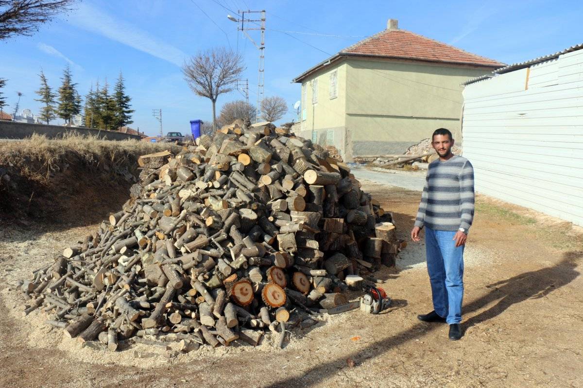 Yozgat'ta kesilen ağacın gövdesinden ay yıldız figürü çıktı
