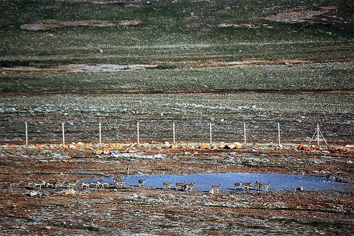 Doğu'da kaçak avcılara geçit verilmiyor