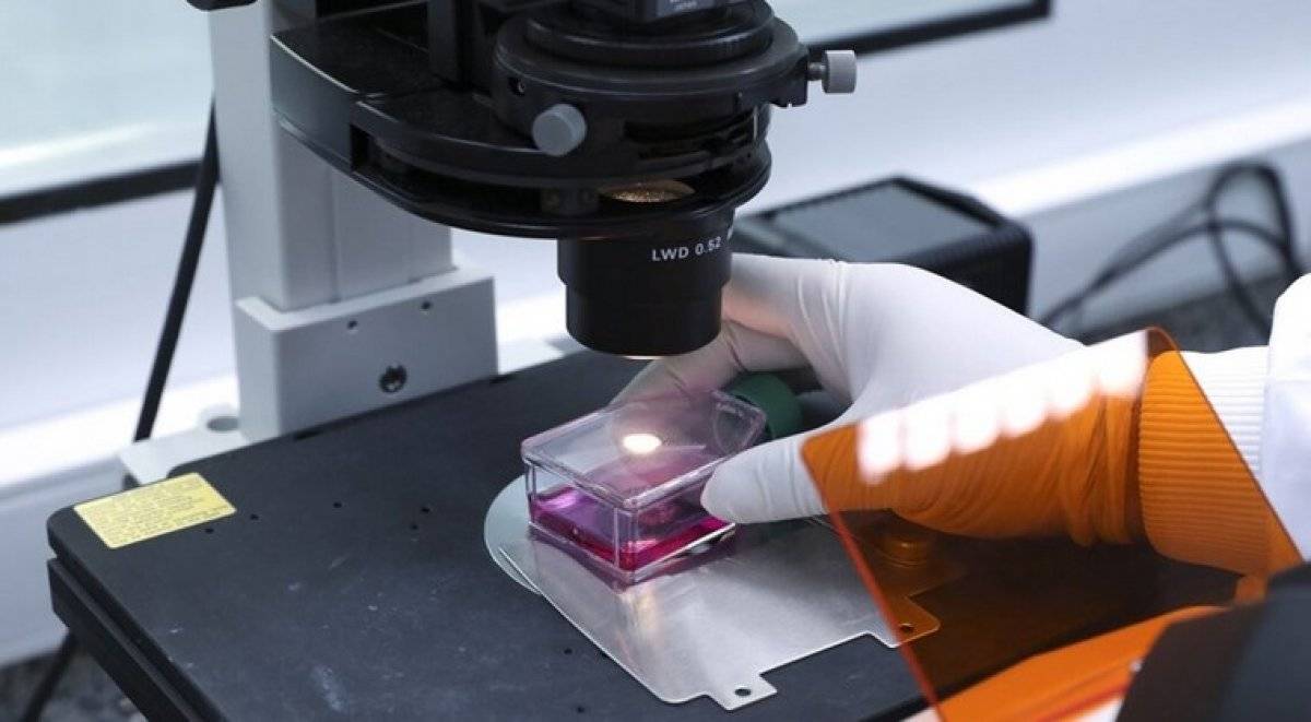 Almanya'da görevli Türk doktor: SMA hastaları için kampanya yapanlar, konuya hakim değil