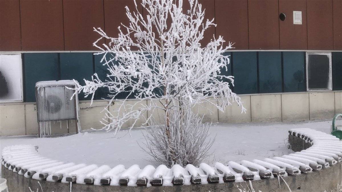 Kars'ta kırağı güzelliği